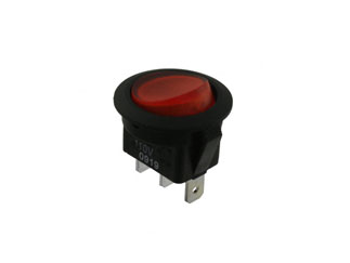 RR111C1000-116-ESW-F
