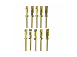 SA33481-BUL-FNT-MED
