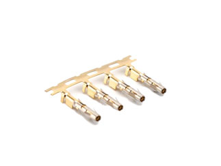 SS16M2F-ASN-FNT-MED