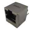 Future