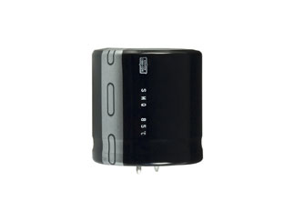 ESMQ451VSN101MP25S