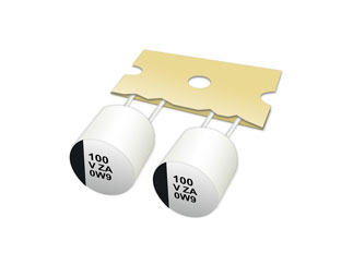 EEH-AZA1H101B-PAN-FN