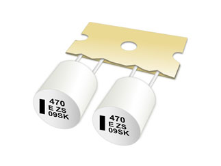 EEH-AZS1J101B-PAN-FN