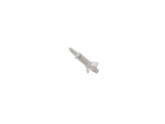 LCBS-2-10-01-RIC-FNT