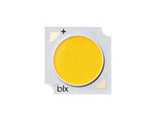 BXRE-30G10T0-A-83-BG