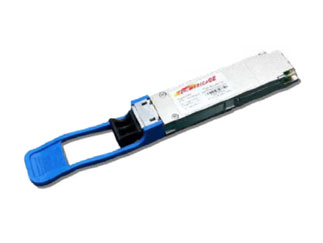 TCW-Q1LAA-F81-FM1-FN
