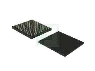BGA-256-LAT-FNT-MED